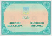 Bachelor's degree 2014-2015 year